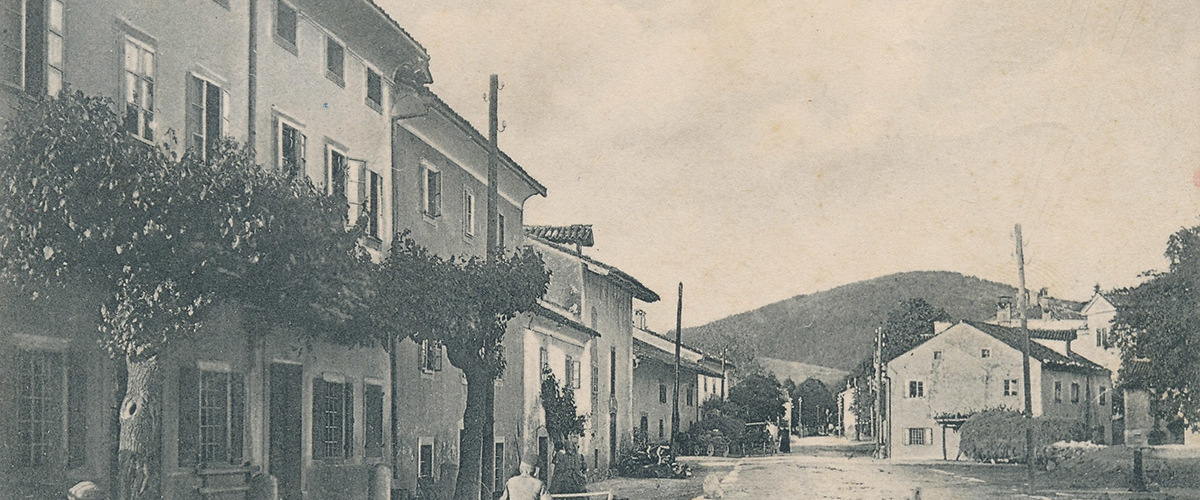 Senozecegm