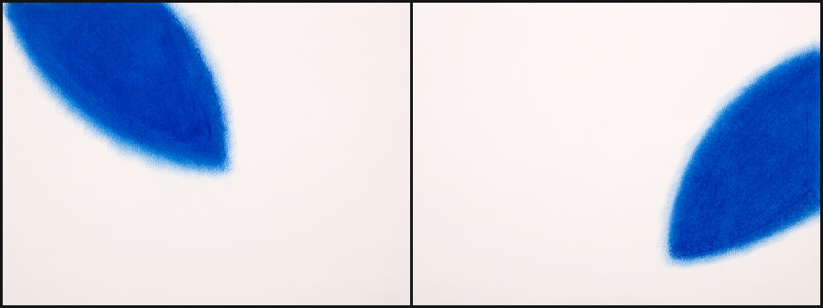 Modra nit - PATRIZIA DEVIDÈ