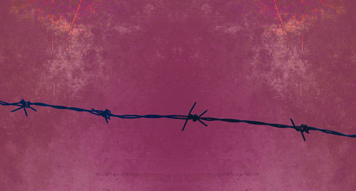 izsek z naslovnice knjige Evridika iz pekla