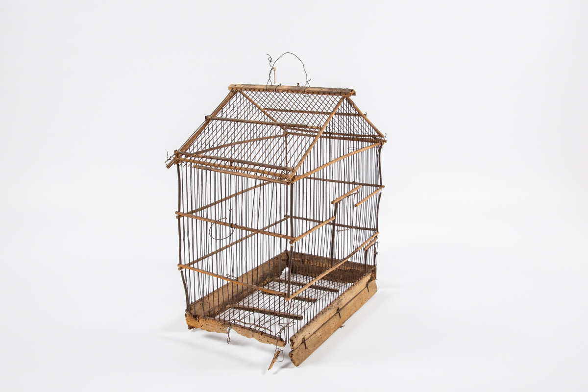 Ptičja kletka - ščajba, kajba, kobača, klonja