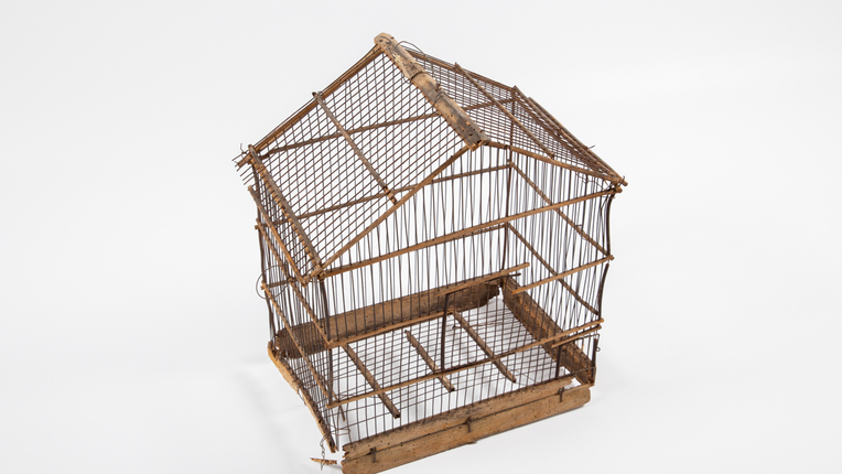 Ptičja kletka - ščajba, kajba, kobača, klonja